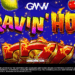 RAVIN HOT SLOT REVIEW